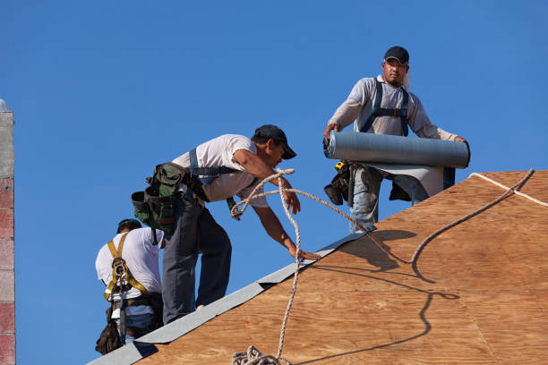 Best New Roof Installation  in St Clair, MI