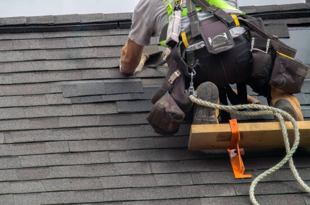 Best Flat Roof Repair Services  in St Clair, MI