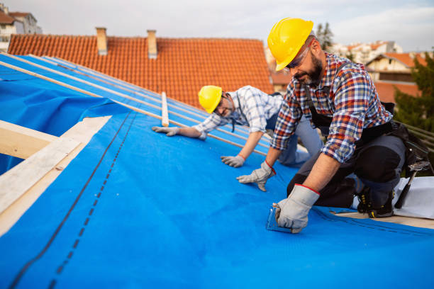 Quick and Trustworthy Emergency Roof Repair Services in St Clair, MI